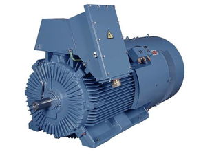 高壓電機(jī) 工業(yè)機(jī)械領(lǐng)域的動(dòng)力核心與效率先鋒
