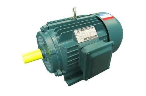 高原環(huán)境下機(jī)械用電動(dòng)機(jī)的技術(shù)挑戰(zhàn)與發(fā)展趨勢(shì)